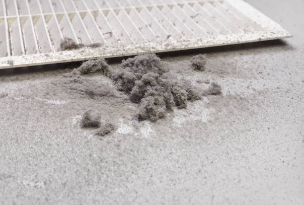 Best HVAC Duct Inspection Services  in Howard City, MI
