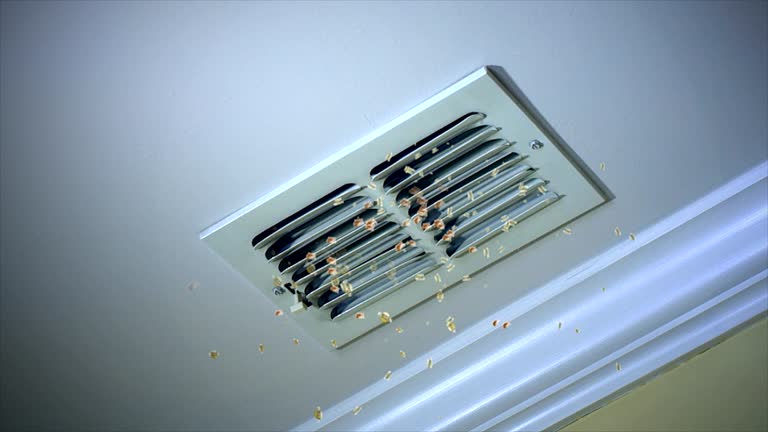 Best Best Air Duct Cleaning Company  in Howard City, MI